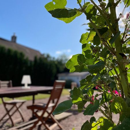 La Croix-en-Touraine La Fedrie B&B 외부 사진
