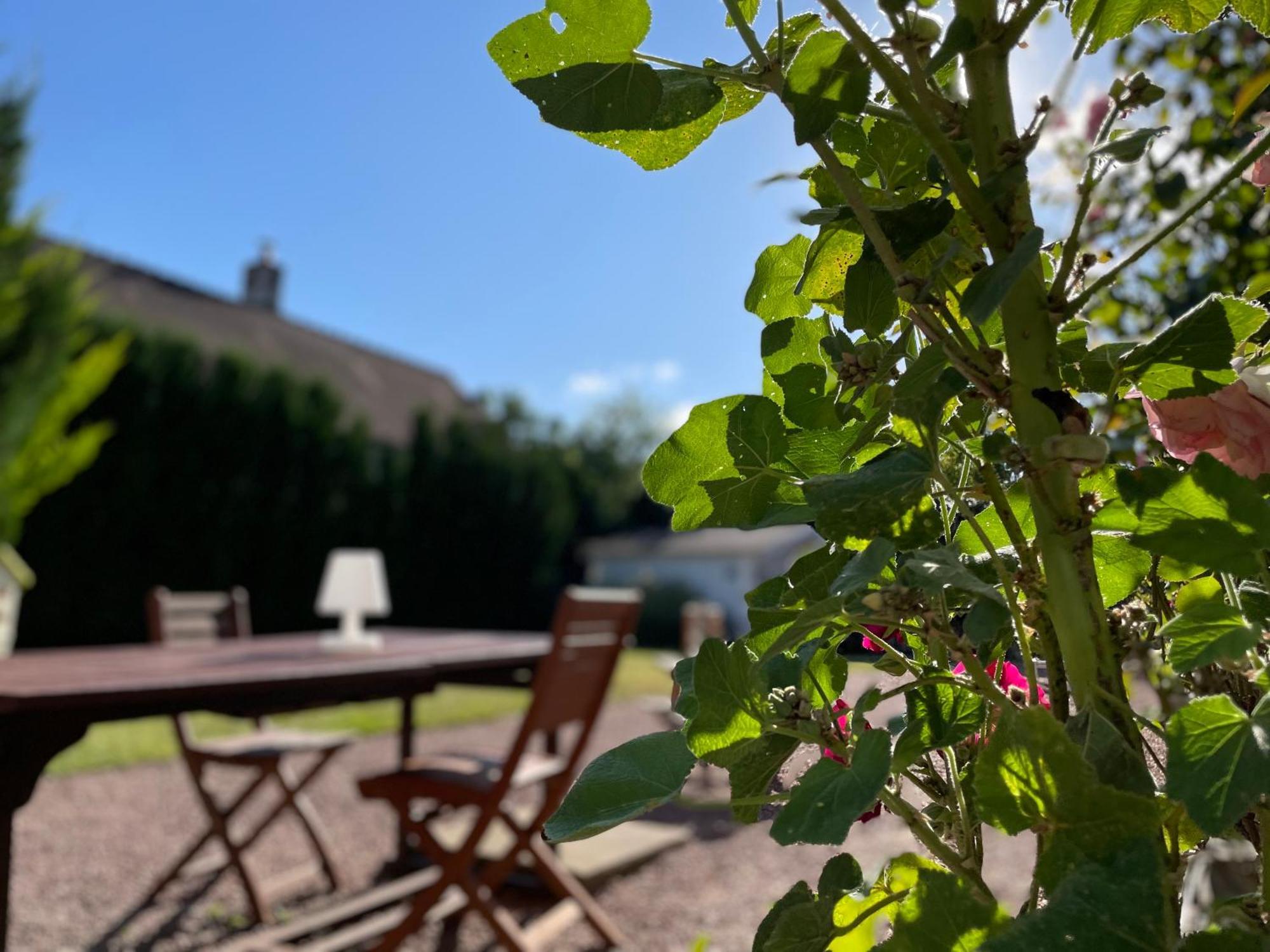 La Croix-en-Touraine La Fedrie B&B 외부 사진